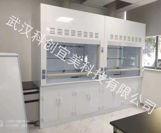 武漢車間凈化工程-PP通風柜